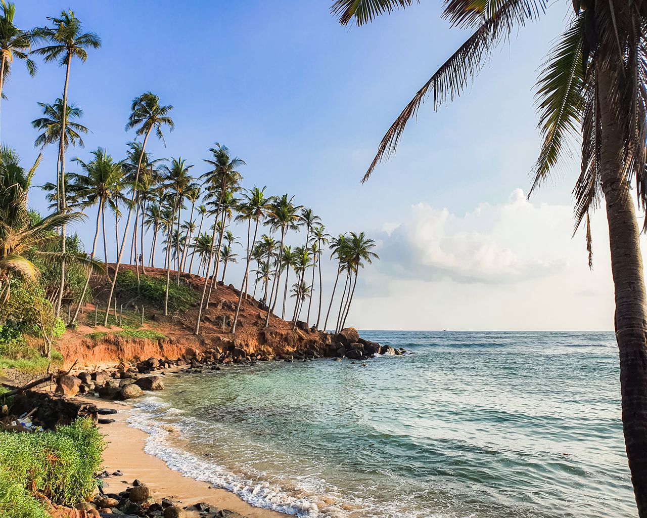 Mirissa, Sri Lanka – A Tropical Beach Escape photo 2